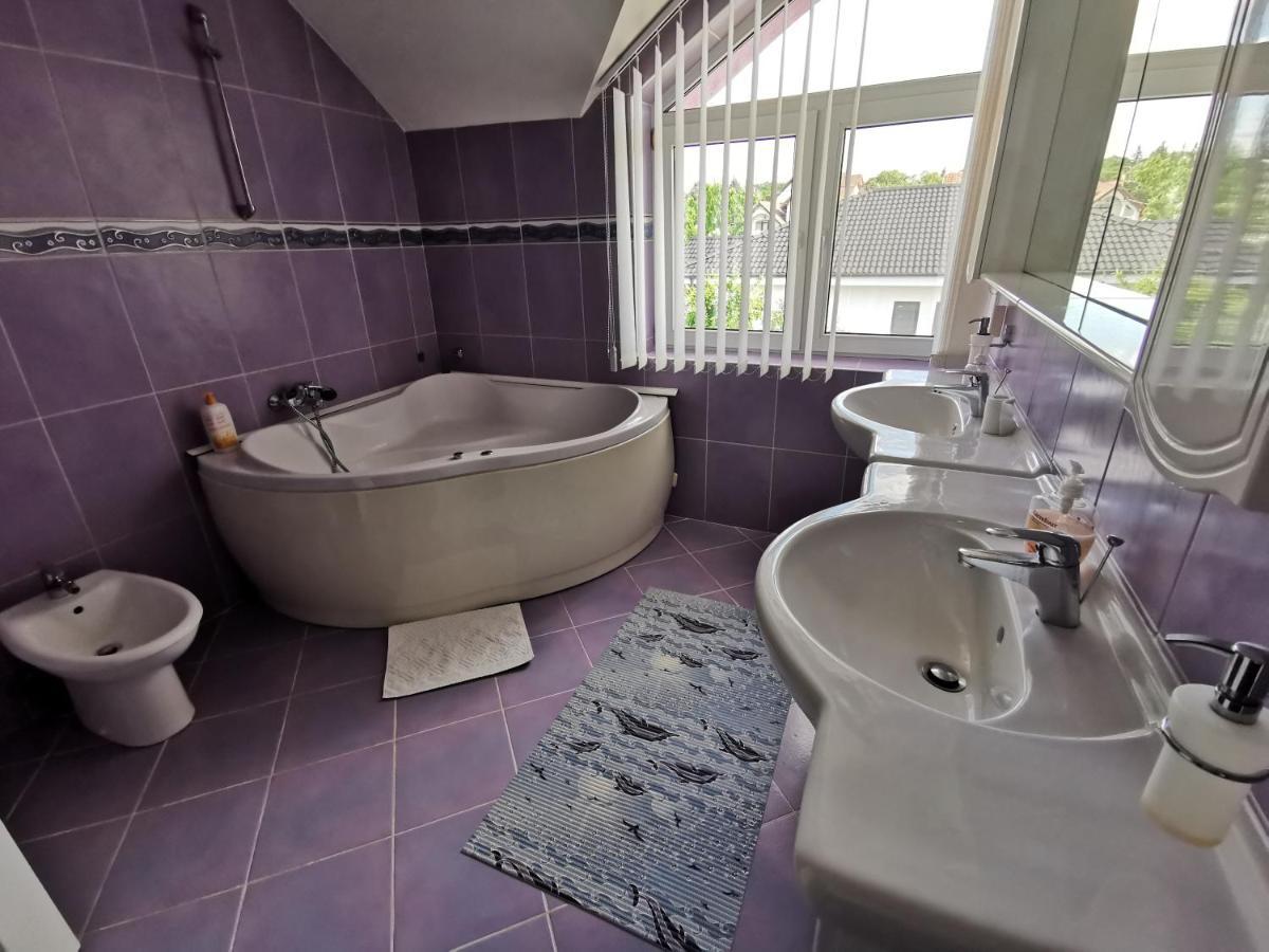 Vila Angela Felix Hotel Sînmartin Екстериор снимка
