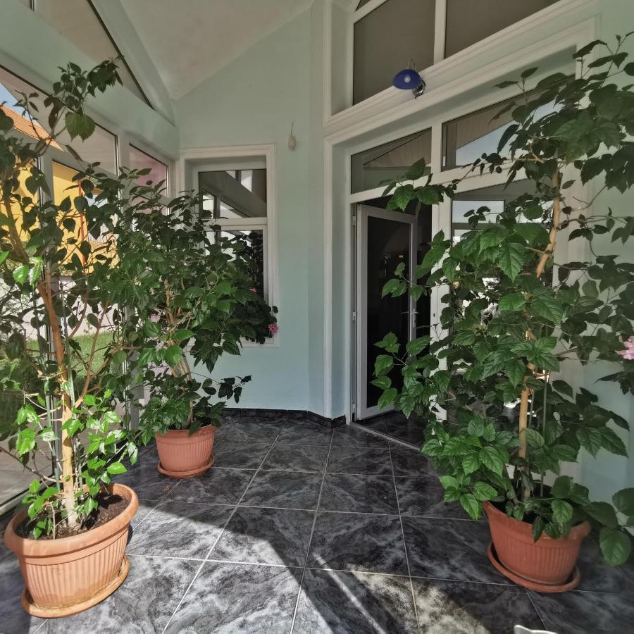 Vila Angela Felix Hotel Sînmartin Екстериор снимка