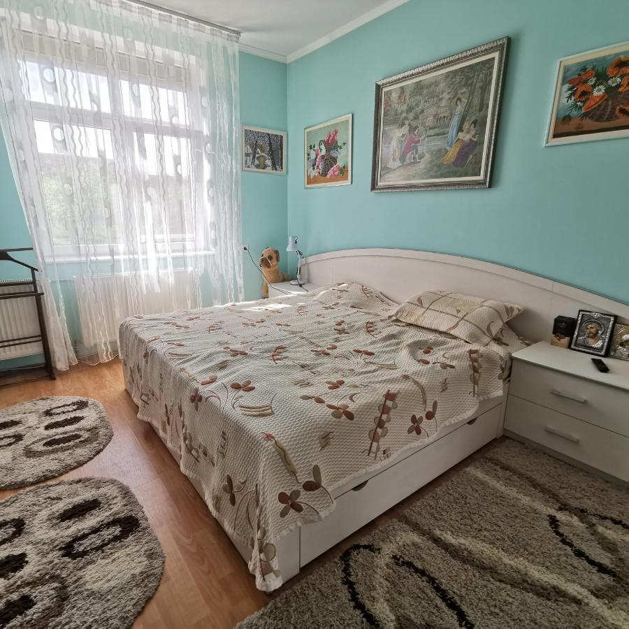 Vila Angela Felix Hotel Sînmartin Екстериор снимка