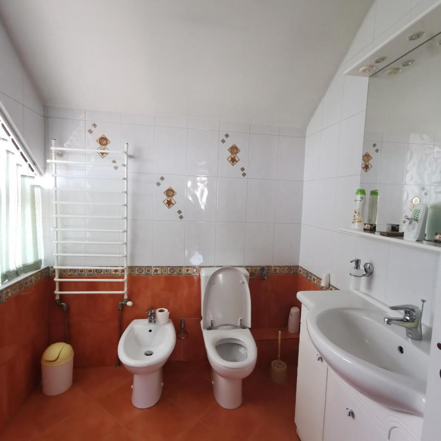 Vila Angela Felix Hotel Sînmartin Екстериор снимка